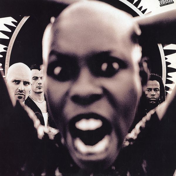 Copertina Disco Vinile 33 giri Stoosh [2 LP] di Skunk Anansie