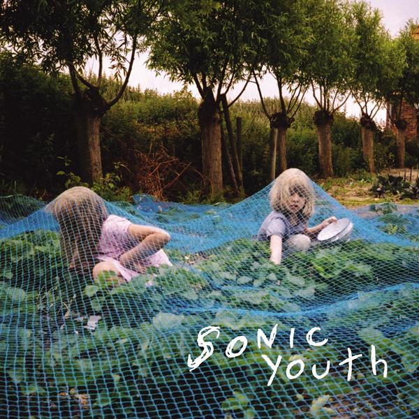 Copertina Disco Vinile 33 giri Murray Street di Sonic Youth