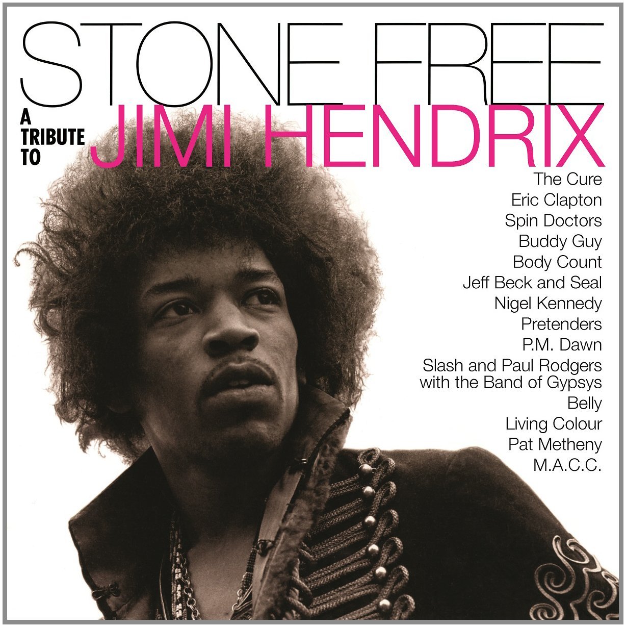 Copertina Disco Vinile 33 giri Stone Free - Jimi Hendrix Tribute di Vari Artisti