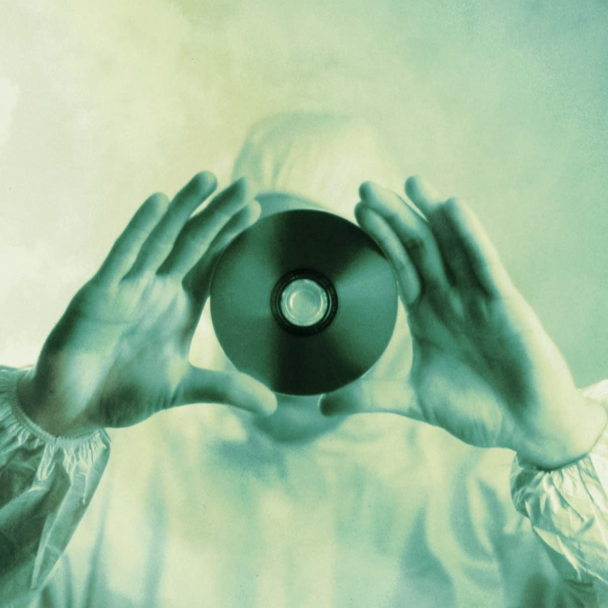 Copertina Vinile 33 giri Stupid Dream di Porcupine Tree