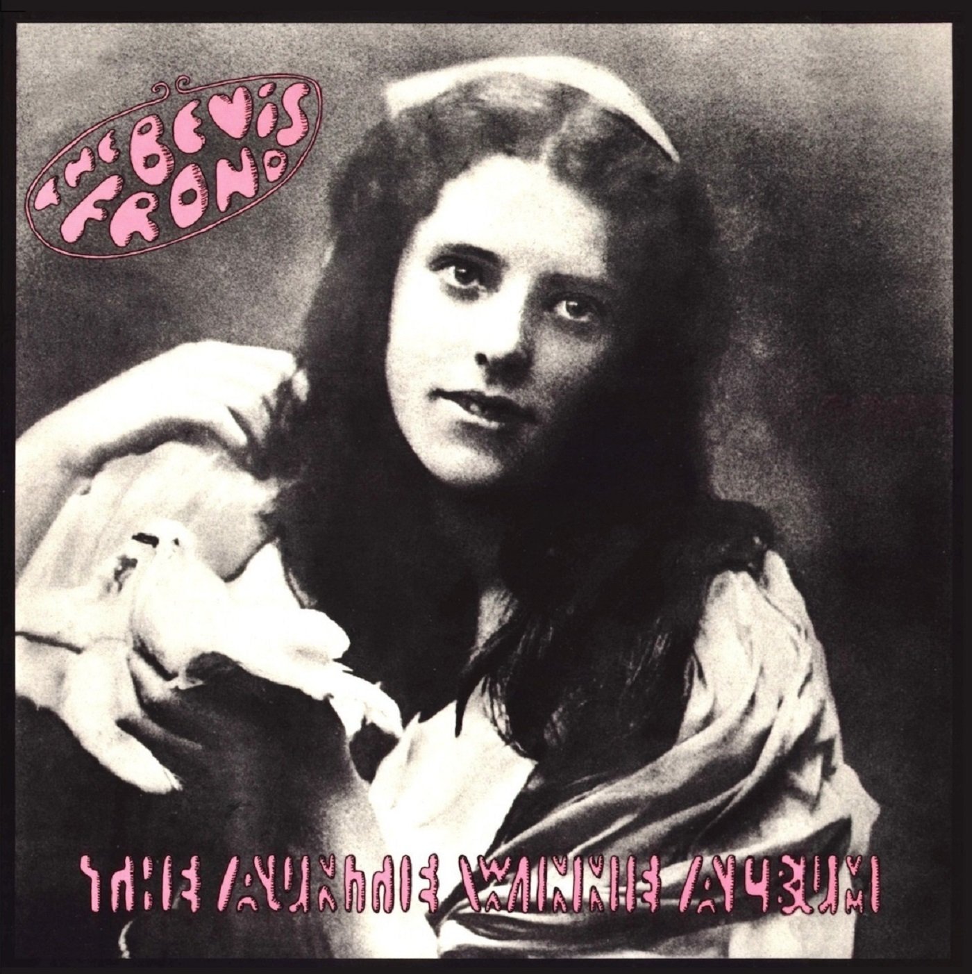 Copertina Disco Vinile 33 giri The Auntie Winnie Album [2 LP] di The Bevis Frond