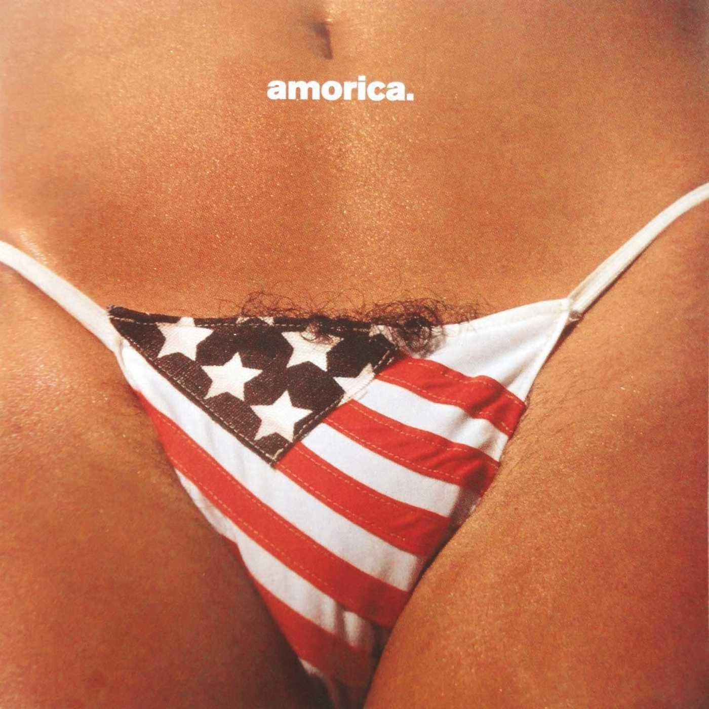 Copertina Disco Vinile 33 giri Amorica  di The Black Crowes