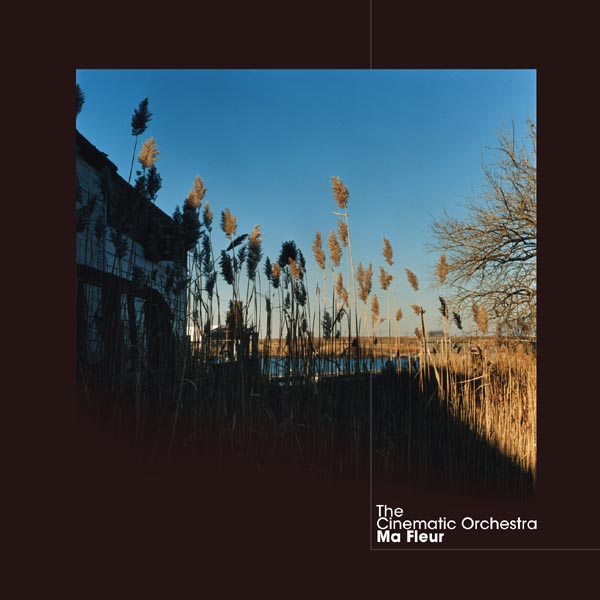 Copertina Vinile 33 giri Ma Fleur [2 LP] di The Cinematic Orchestra