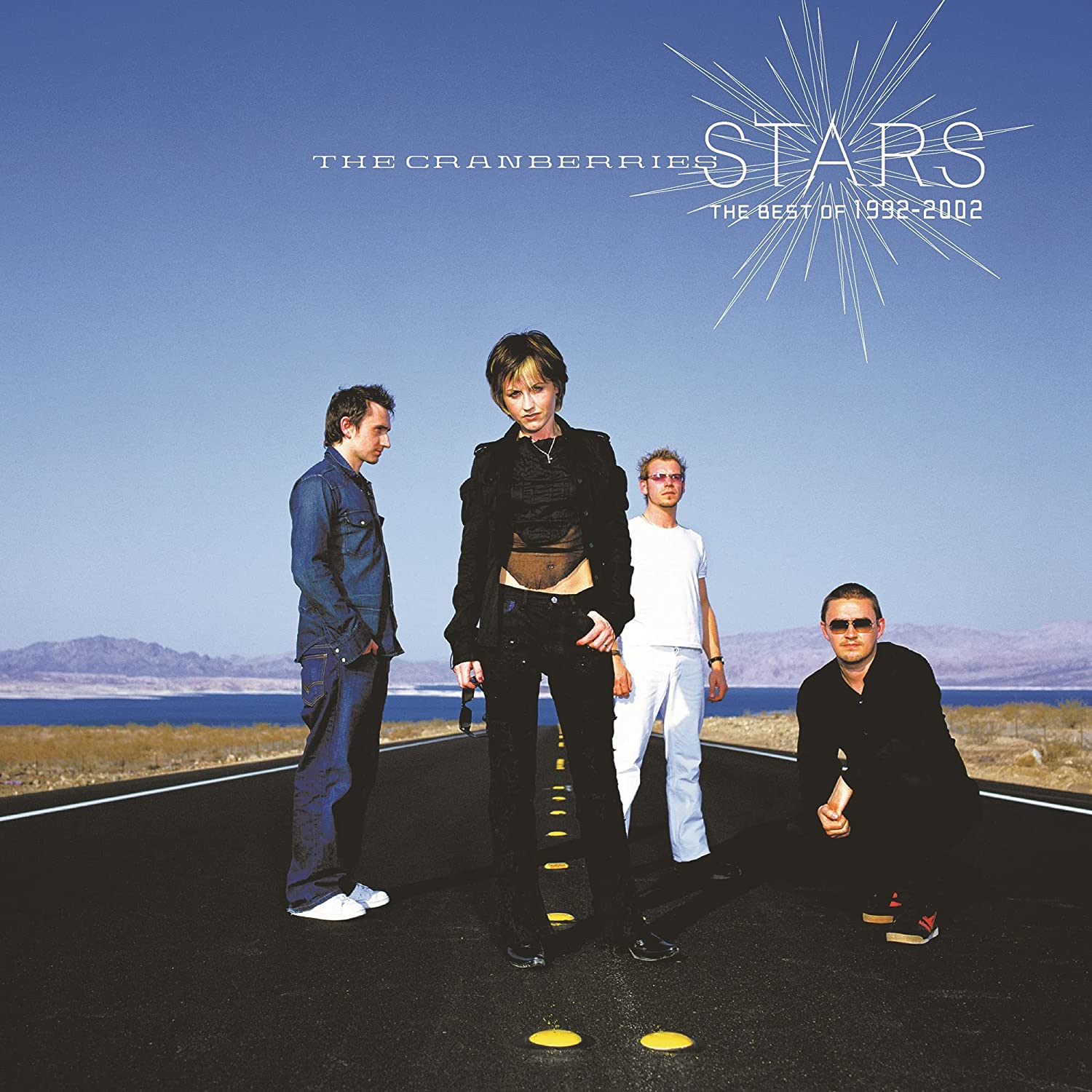 Copertina Vinile 33 giri Stars The Best of 1992-2002 di The Cranberries