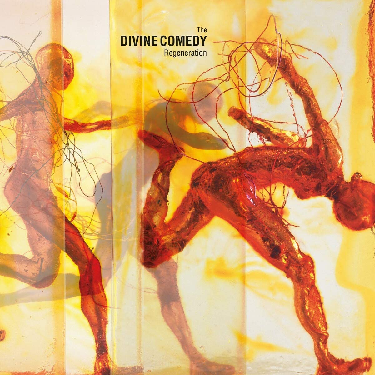 Copertina Vinile 33 giri Regeneration di The Divine Comedy