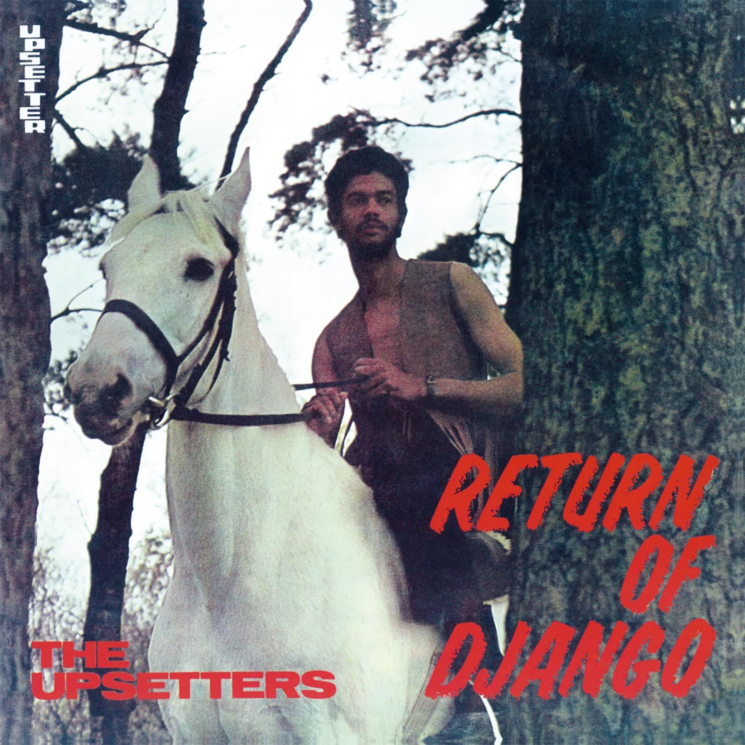 Copertina Vinile 33 giri Return of Django di The Upsetters