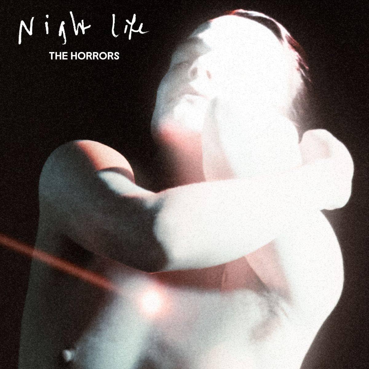 Copertina Vinile 33 giri Night Life di The Horrors