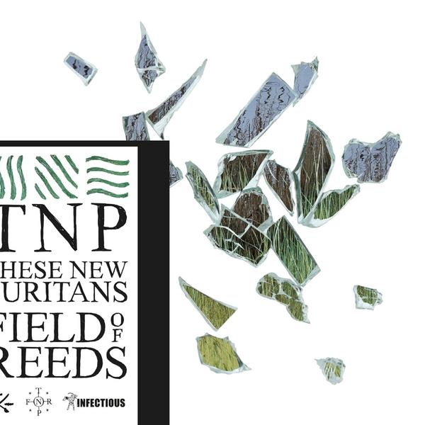 Copertina Disco Vinile 33 giri Field of Reeds [2 LP] di These New Puritans