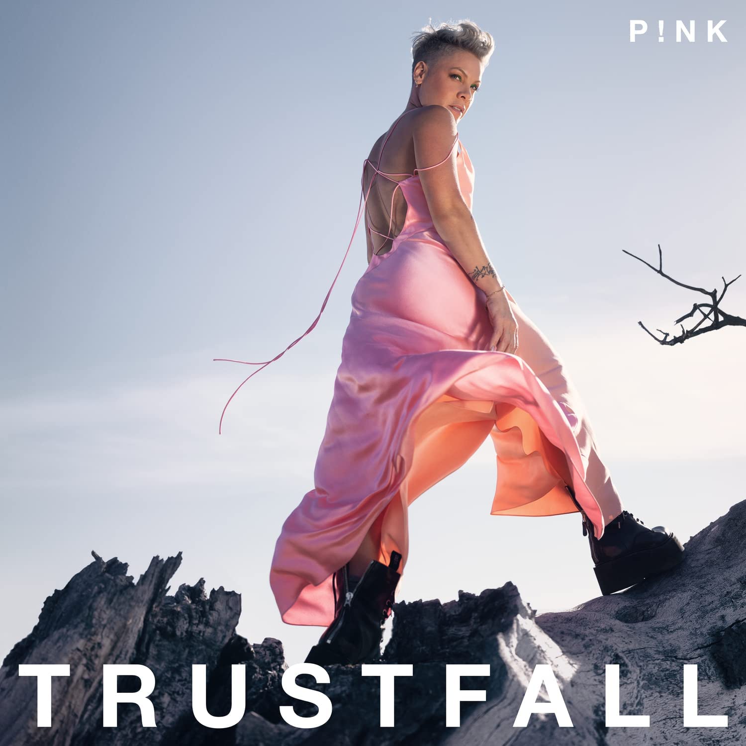 Copertina Vinile 33 giri Trustfall di Pink