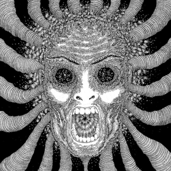 Copertina Disco Vinile 33 giri Slaughterhouse [2 LP] di Ty Segall