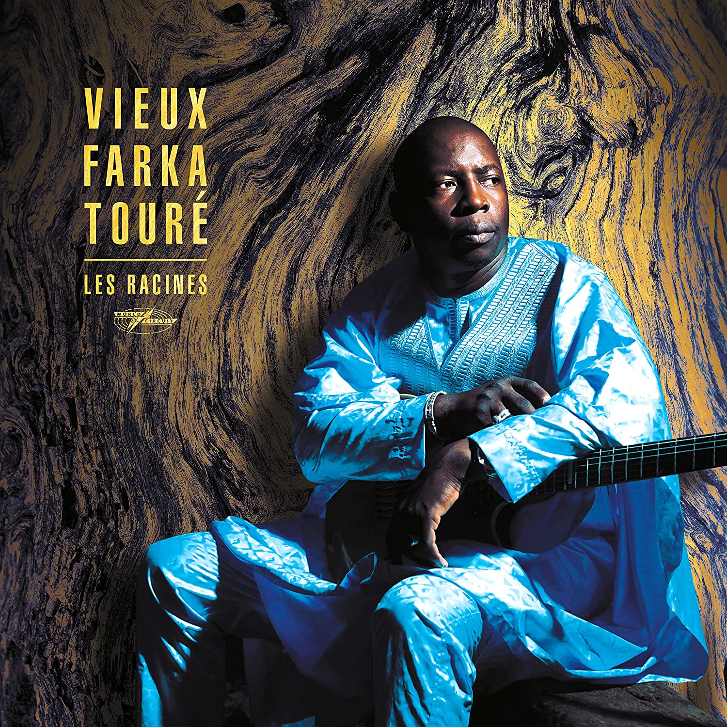 Copertina Vinile 33 giri Les Racines di Vieux Farka Touré