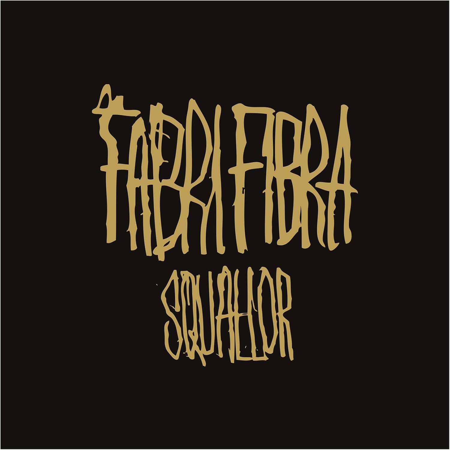 Copertina Vinile 33 giri Squallor di Fabri Fibra
