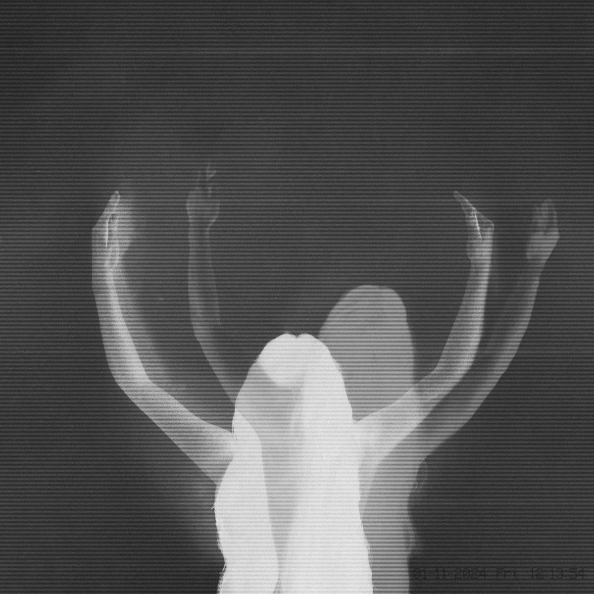 Copertina Vinile 33 giri Radiance Opposition di Julie's Haircut