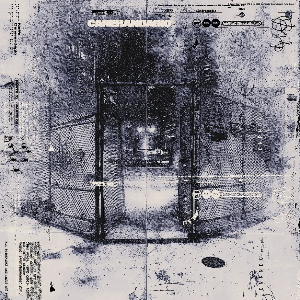 Copertina Vinile 33 giri Canerandagio Parte 2 di Neffa