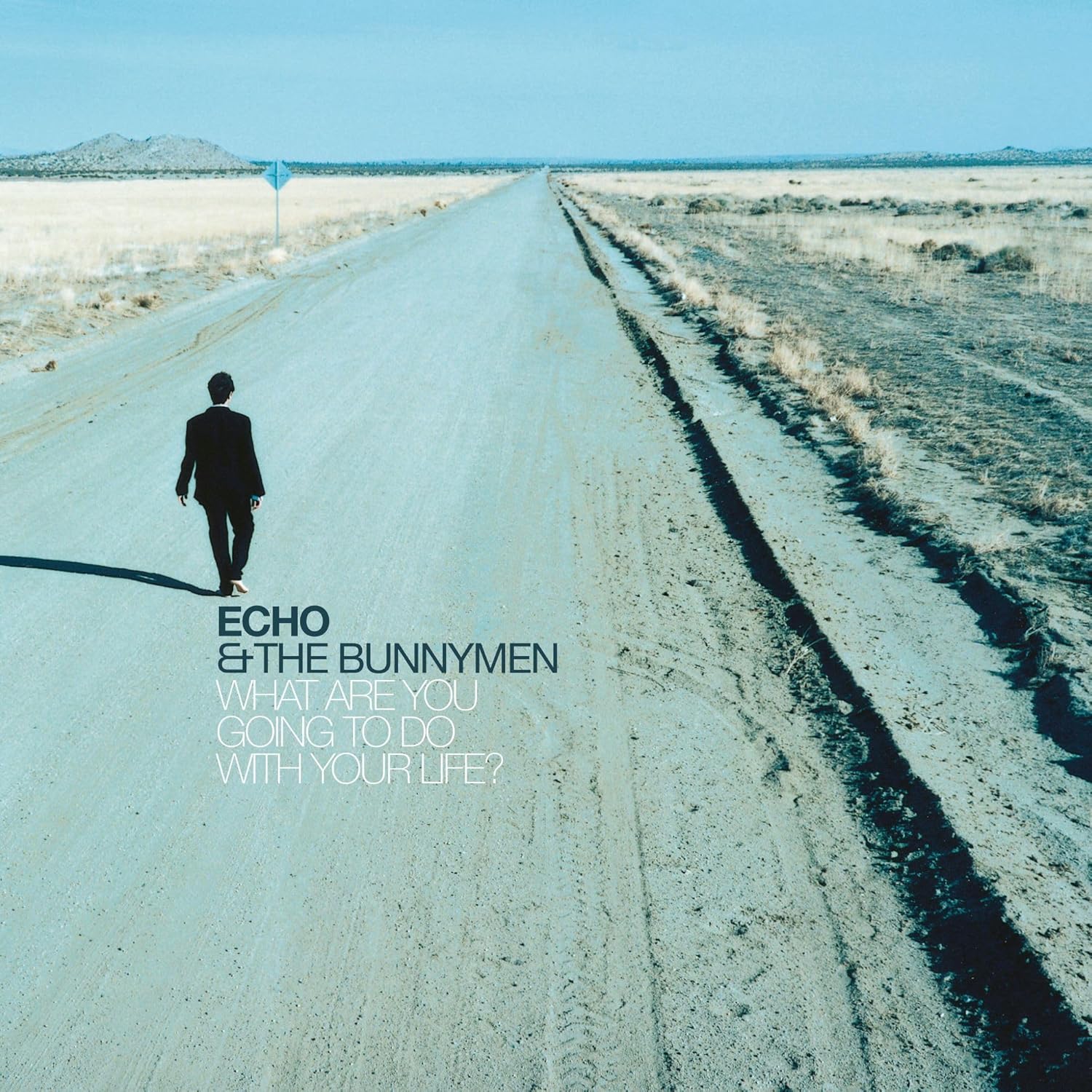 Copertina Vinile 33 giri What Are You Going to Do with Your Life? di Echo & the Bunnymen