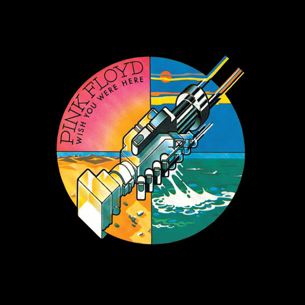 Disco Vinile Wish you were here - Pink Floyd su