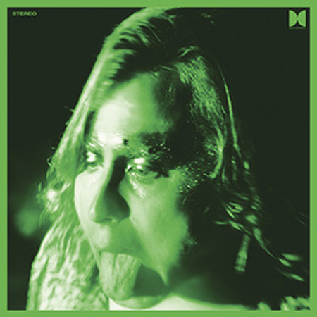 Copertina Vinile 33 giri Would You Be My Love Singolo LP di Ty Segall