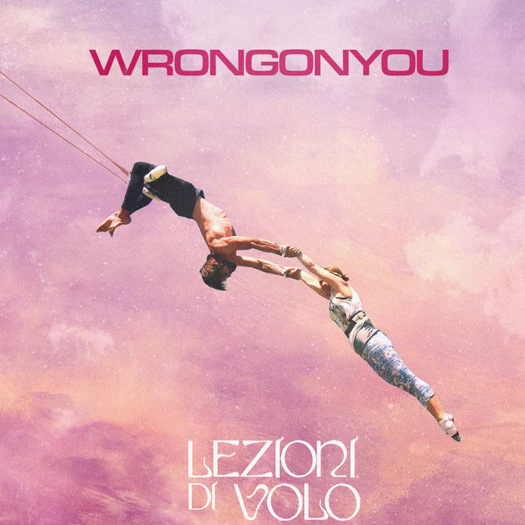Copertina Vinile 33 giri Lezioni di Volo [Singolo 12