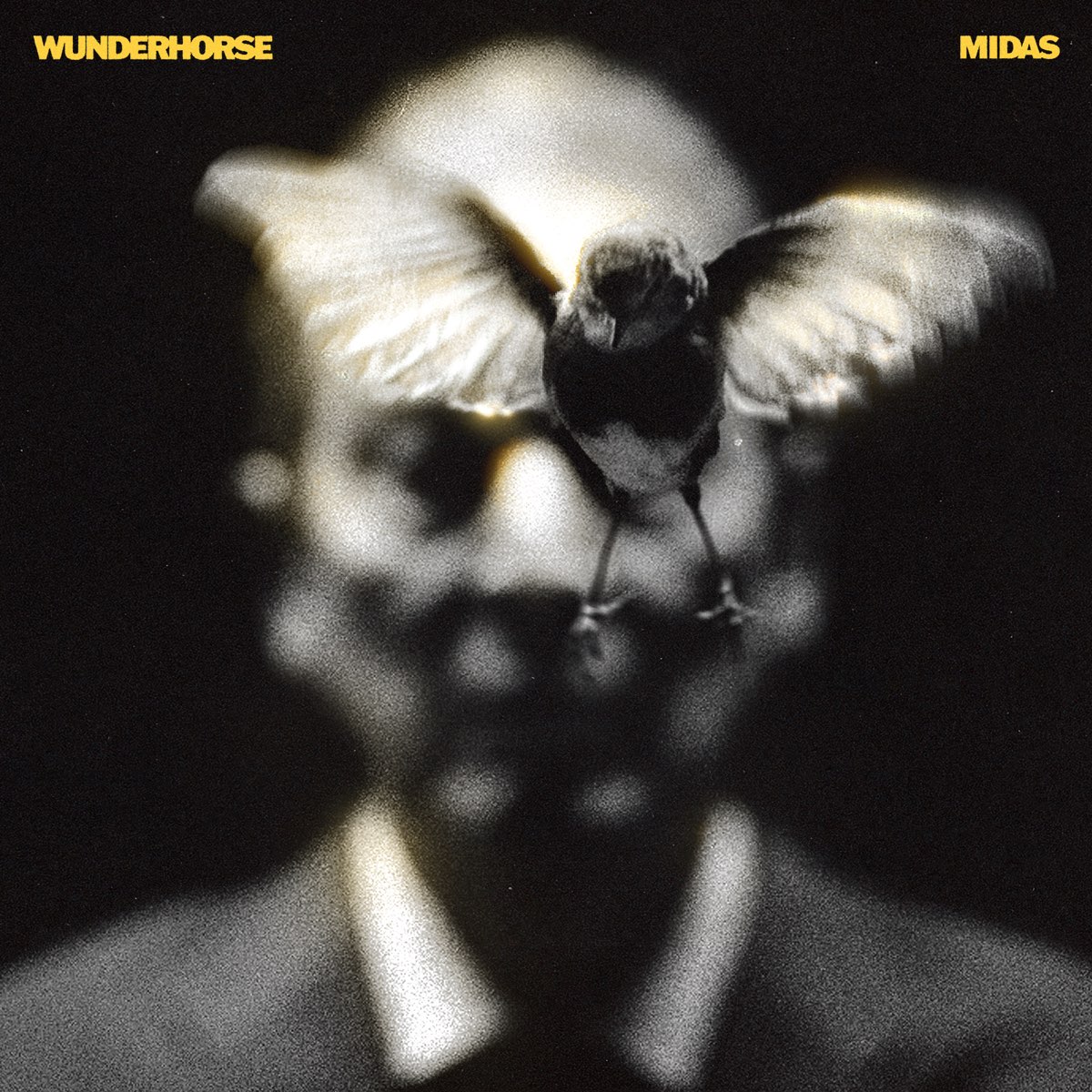 Copertina Vinile 33 giri Midas di Wunderhorse