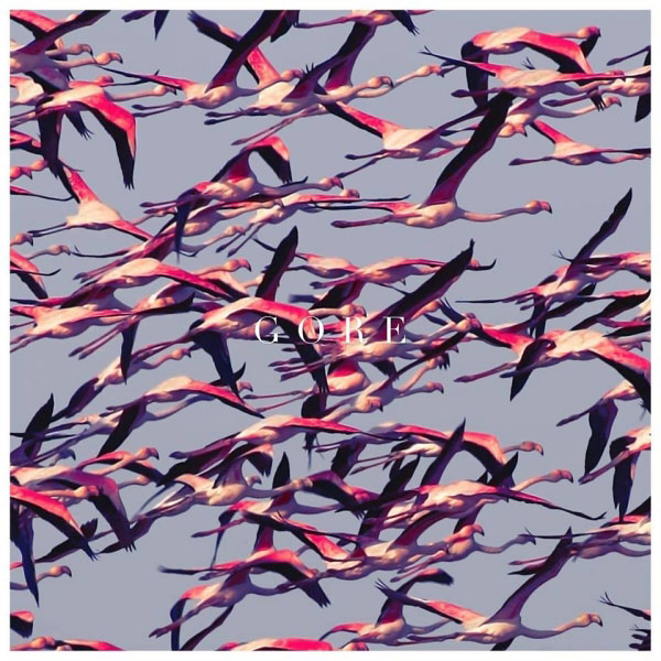 Copertina Disco Vinile 33 giri Gore [2 LP] di Deftones