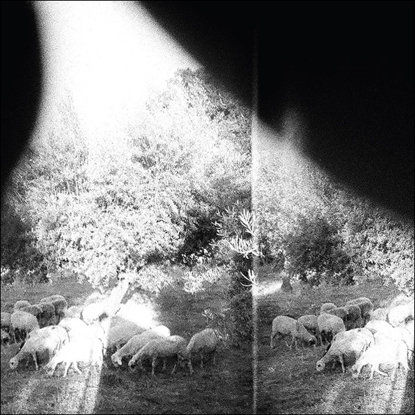 Copertina Disco Vinile 33 giri Asunder, Sweet and Other Distress di Godspeed You! Black Emperor