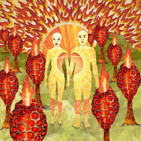 Copertina Disco Vinile 33 giri The Sunlandic Twins [2 LP] di Of Montreal