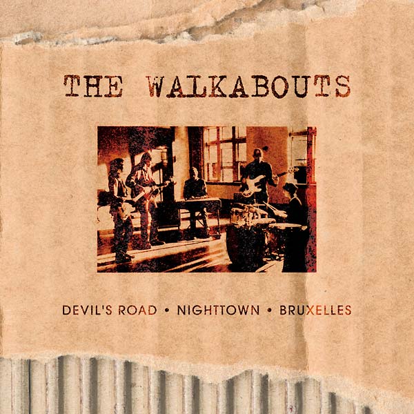 Copertina Disco Vinile 33 giri The Virgin Years [Cofanetto 6xLP 5xCD] di The Walkabouts