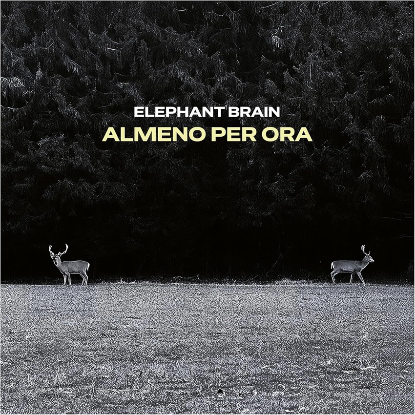 Copertina Vinile 33 giri Almeno per Ora di Elephant Brain