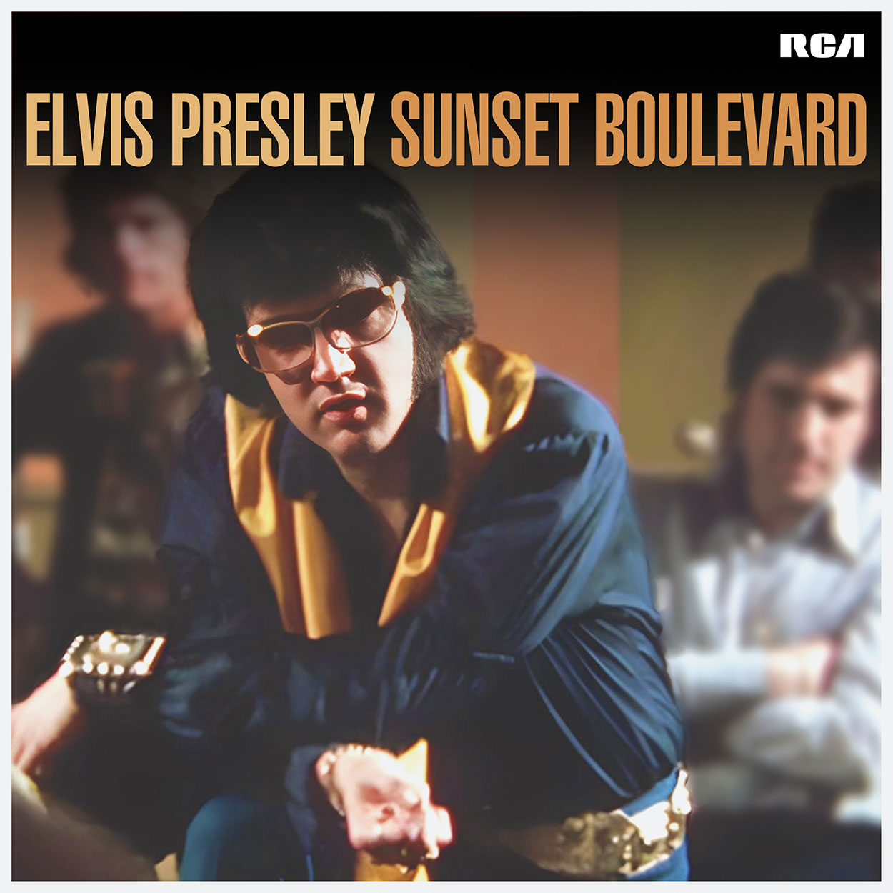 Copertina Vinile 33 giri Sunset Boulevard di Elvis Presley