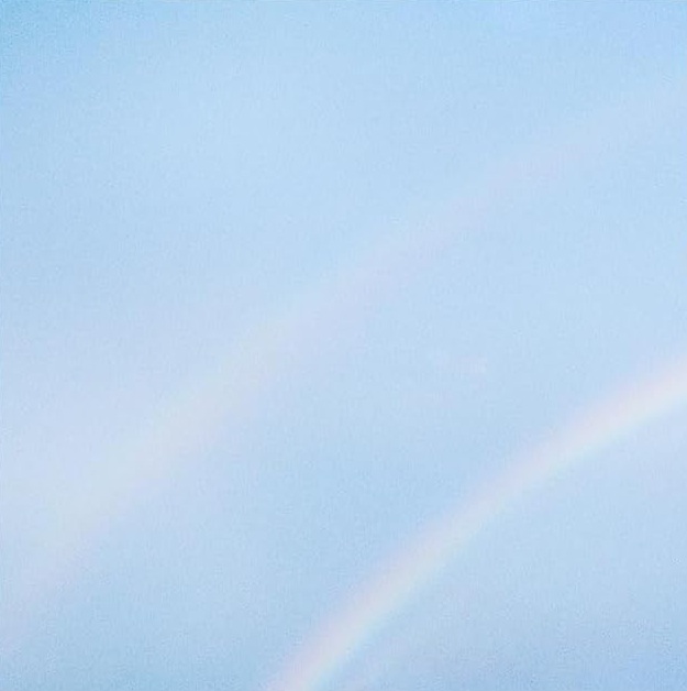 Copertina Vinile 33 giri Never Enough di Turnstile