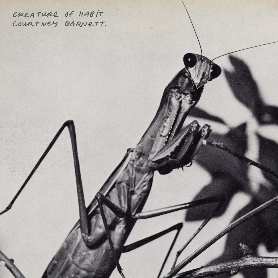 Copertina Vinile 33 giri Creature of Habit di Courtney Barnett