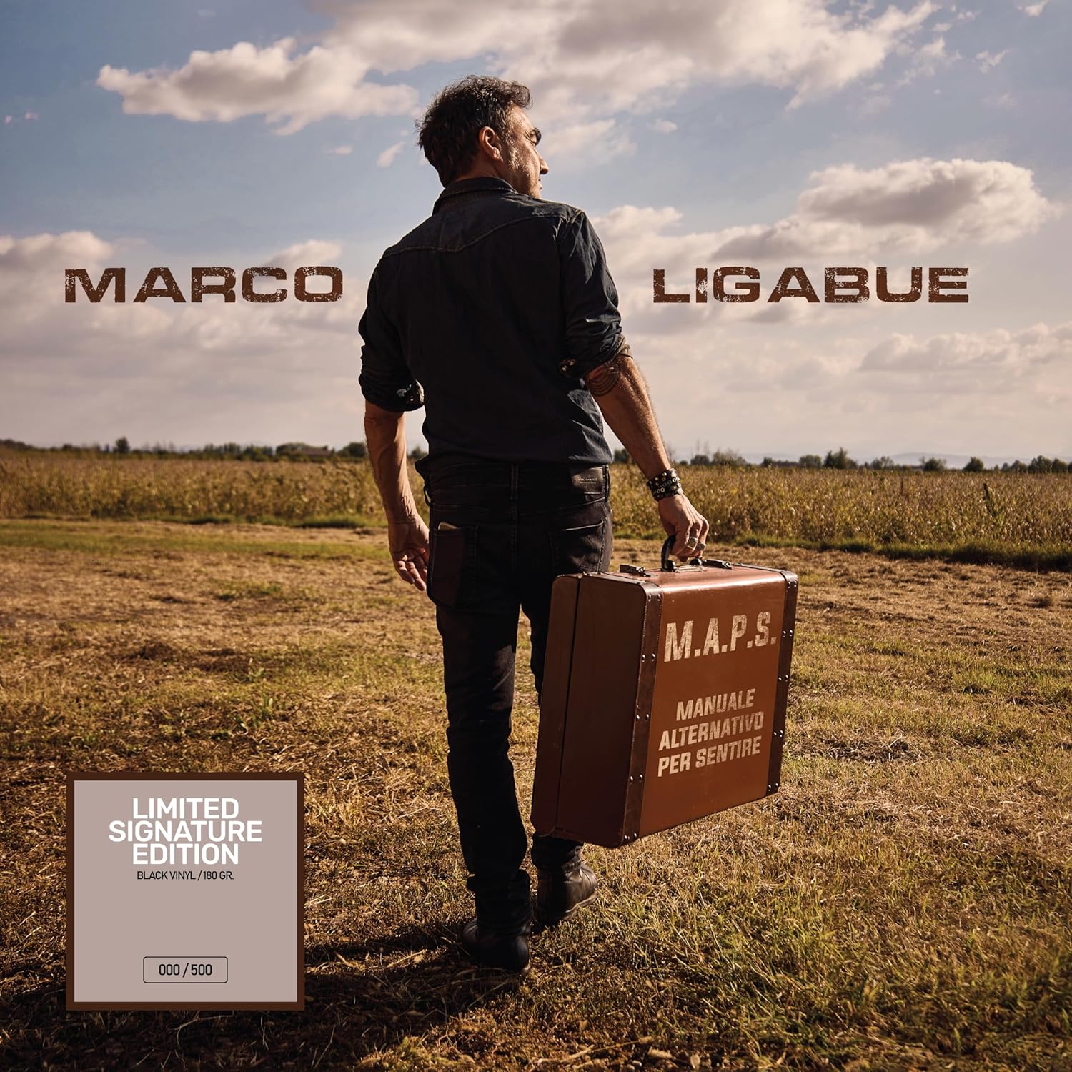 Copertina Vinile 33 giri M.A.P.S. di Marco Ligabue