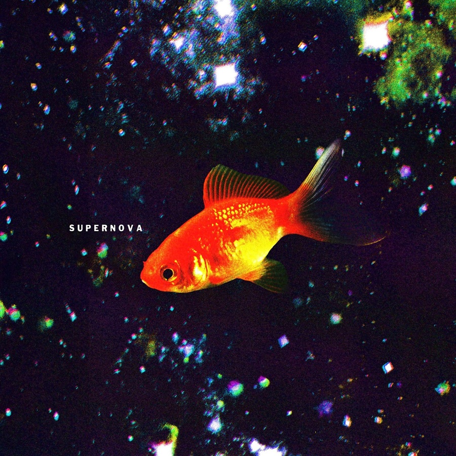 Copertina Vinile 33 giri Supernova di Mobrici